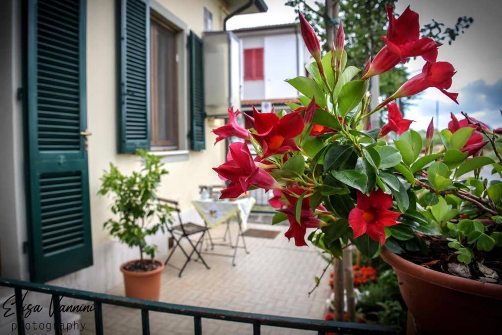 Casa Letizia Lejlighed Ponsacco Eksteriør billede